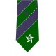 Somersfield Diploma Program Polyester Neck Tie